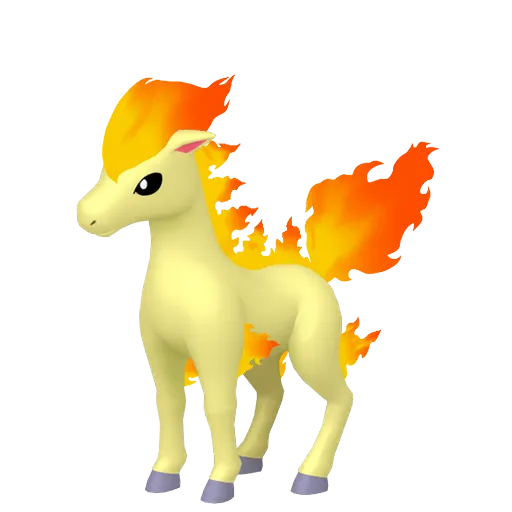 Ponyta