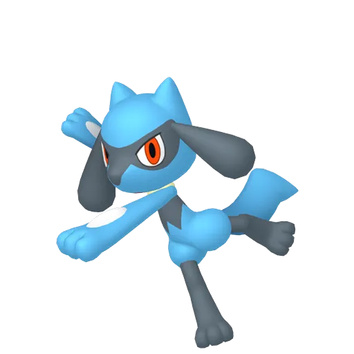 Riolu