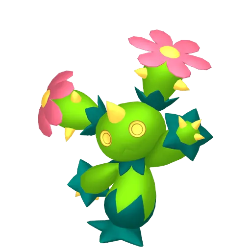 Maractus