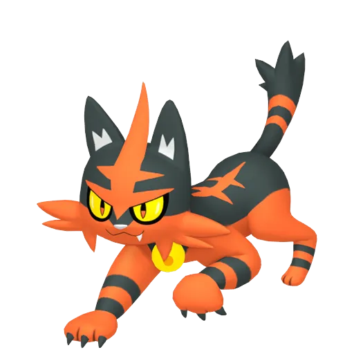 Torracat